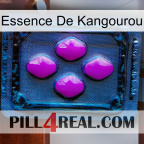 Kangaroo Essence 04